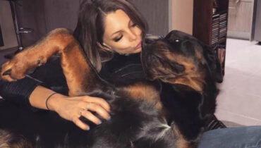 വളർത്തുനായ്ക്കളുടെ കടിയേറ്റ യുവതിക്ക് ഗുരുതര പരുക്ക്; അക്രമകാരിയായ നായയെ വെടിവച്ച് പൊലീസ്, ഭയന്ന് വിറച്ച് അയൽക്കാർ