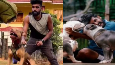 ഡോഗ് ഹോസ്റ്റലിന്റെ മറവില്‍ ലഹരിവില്‍പ്പന; പ്രതി റോബിന്‍ ജോര്‍ജ് പൊലീസ് പിടിയില്‍