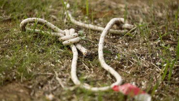 പീഡനത്തിനിടെ അവളുടെ മാറിടങ്ങള്‍ മുറിച്ച് അയാള്‍ തെരുവിലേക്കെറിഞ്ഞു,  ഇസ്രയേലില്‍ ഹമാസ് ചെയ്തത് ക്രൂരതയുടെ അങ്ങേയറ്റം