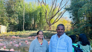 അമേരിക്കയില്‍ കാറിടിച്ച് ആന്ധ്രപ്രദേശ് എംഎല്‍എയുടെ ആറ് ബന്ധുക്കള്‍ മരിച്ചു