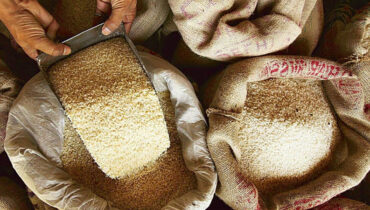 അഞ്ച് ലക്ഷം ടണ്‍ ഭാരത് അരി വിപണിയിലേക്ക്, വില 29 രൂപ! വിലക്കയറ്റത്തിന് തിരിച്ചടി