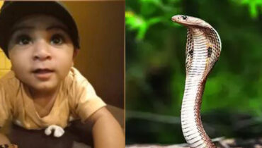 വീട്ട് മുറ്റത്ത് കളിക്കുന്നതിനിടെ രണ്ട് വയസുകാരന് പാമ്പ് കടിയേറ്റ് മരിച്ചു