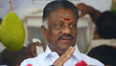 ബക്കറ്റും മുന്തിരിയുമില്ല, ചക്ക തന്നെ പനീര്‍ശെല്‍വത്തിന്റെ ചിഹ്നം!