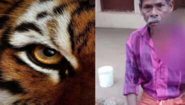 മാനന്തവാടിയില്‍ വീണ്ടും വന്യമൃഗ ആക്രമണം: വയോധികന് പരിക്കേറ്റു, സംഭവം രാവിലെ ആറരയ്ക്ക്, ആക്രമിച്ചത് പുലിയെന്ന് നാട്ടുകാര്‍