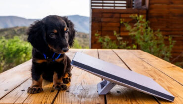 സിംപിളാണ്…പവര്‍ഫുളും…ലാപ്ടോപ്പ് വലിപ്പമുള്ള സ്റ്റാര്‍ലിങ്ക് മിനി ഡിഷ് ആന്റിനയുമായി സ്പേസ് എക്സ്