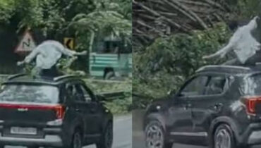 കാറിന്റെ സണ്റൂഫിന് മുകളിലിരുന്ന് സാഹസിക യാത്ര; യുവാവിനെതിരെ നടപടിയുമായി മോട്ടോര് വാഹനവകുപ്പ്
