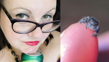 റൂം മേറ്റ് വളര്‍ത്തിയ ചിലന്തിയെ സോഡയില്‍ മുക്കിക്കൊന്നു; യു.എസില്‍ 43കാരി അറസ്റ്റില്‍