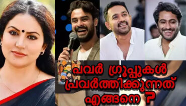 ‘ടൊവിനോ, ആസിഫ്, പെപ്പെ… പവര് ഗ്രൂപ്പുകള് പ്രവര്ത്തിക്കുന്നത് എങ്ങനെയെന്ന് കാണിച്ചുതന്നതിന് നന്ദി’: ‘ഷീലു എബ്രഹാം