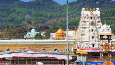 തിരുപ്പതി ലഡുവില് മൃഗക്കൊഴുപ്പിന്റെ സാന്നിധ്യം; പരിശോധനയില് സ്ഥിരീകരണം
