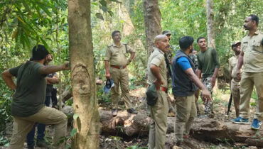 കടുവ കയ്യില് മാന്തി, പരുക്ക് ഗുരുതരമല്ല ; ആര്ആര്ടി അംഗം ജയസൂര്യയെ മാനന്തവാടി മെഡിക്കല് കോളേജില് പ്രവേശിപ്പിച്ചു