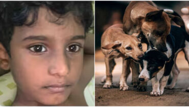 എന്തൊരവസ്ഥ! കൂട്ടുകാര്ക്കൊപ്പം കളിക്കുന്നതിനിടെ തെരുവുനായ പാഞ്ഞെത്തി; ഭയന്നോടിയ കുട്ടി കിണറ്റില് വീണ് മരിച്ചു
