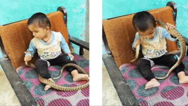 കുഞ്ഞിനറിയില്ല, പക്ഷേ വീഡിയോ എടുത്തയാള്ക്ക് തീരെ ബോധമില്ലേ? ജീവന്വെച്ചുള്ള കളിയാണിത് !വൈറല് വീഡിയോയില് രോഷംപൂണ്ട് സോഷ്യല്മീഡിയ