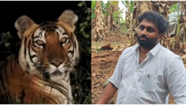 നാടൊന്നാകെ ഞെട്ടിയ കരുവാരക്കുണ്ടിലെ കടുവയുടെ വീഡിയോ വ്യാജം! പഴയ വീഡിയോ എഡിറ്റ് ചെയ്ത് പ്രചരിപ്പിച്ച ജെറിൻ കുടുങ്ങും