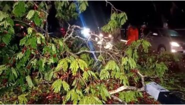 കേരളത്തിൽ മഴ കനത്തു, തലസ്ഥാനത്ത് അതിതീവ്ര മഴക്കൊപ്പം ശക്തമായ കാറ്റും, വ്യാപക നാശം, റെഡ് അല‍ർട്ട്; വിവിധയിടങ്ങളിൽ മഴക്കെടുതി