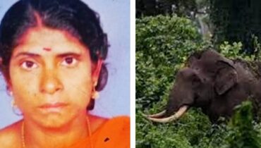 ഇതിനൊരു അവസാനമില്ലേ? വീണ്ടും മനുഷ്യ ജീവൻ കവർന്ന് കാട്ടാന, ഇക്കുറി ആക്രമണം പീരുമേട്ടിൽ