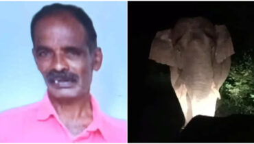 ഇതിനൊരു അവസാനമില്ലേ? വീടിന് 100 മീറ്റർ മാത്രം അകലെ കാട്ടാനയാക്രമണത്തിൽ മലയാളിക്ക് ജീവൻ നഷ്ടം, പന്തലൂരിൽ പ്രതിഷേധം ശക്തം