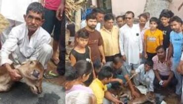യു.പിയില്‍ രണ്ട് തലയും മൂന്ന് കണ്ണുകളുമുള്ള പശുകിടാവ്; പ്രാര്‍ത്ഥനകളും പൂജകളുമായി നാട്ടുകാര്‍, വീഡിയോ വൈറൽ