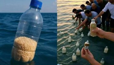 ‘ഗാസയ്ക്കായി പ്രതീക്ഷയുടെ കുപ്പി’:  ഭക്ഷണം നിറച്ച കുപ്പികൾ കടലിലേക്ക് എറിഞ്ഞ്  ഈജിപ്ഷ്യന്‍ ജനത