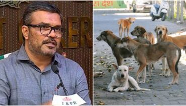 ദയാവധം നടപ്പാക്കാം! സംസ്ഥാനത്തെ തെരുവുനായ പ്രശ്നത്തിൽ സർക്കാരിന്‍റെ നിർണായ തീരുമാനം, രോഗബാധിതരായവെ ദയാവധം ചെയ്യാൻ അനുമതി നൽകി