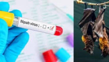 സംസ്ഥാനത്ത് നിപ സമ്പര്ക്കപ്പട്ടികയില് 425 പേര്; പ്രദേശങ്ങളില് പനി സര്വൈലന്സ് നടത്തും
