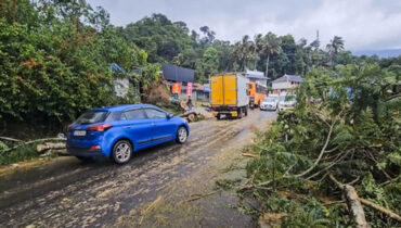 സംസ്ഥാനത്ത് വ്യാപക മഴക്കെടുതി;  നാല് മരണം, മുണ്ടക്കൈ-ചൂരല്‍മല ദുരന്ത പ്രദേശത്ത് നോ ഗോ സോണ്‍