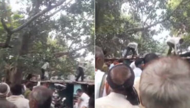 എണ്‍പതിനായിരം രൂപയുടെ നോട്ടുകള്‍ ‘മഴയായി പെയ്തിറങ്ങി’; കുരങ്ങന്‍ ഒപ്പിച്ച പണിയില്‍ ഞെട്ടി സോഷ്യല്‍ മീഡിയ
