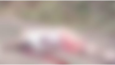 പാലക്കാട് ദുരൂഹമായ ഇരട്ടക്കൊല: സ്കൂളിന് മുന്നിൽ യുവാവ് വെടിയേറ്റ് മരിച്ച നിലയിൽ; അയൽവാസിയുടെ മൃതദേഹം സമീപത്തെ വീട്ടിലും കണ്ടെത്തി