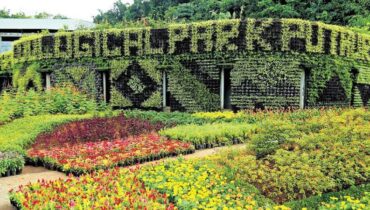 പുത്തൂർ സുവോളജിക്കൽ പാർക്കിൽ ഗുരുതര സുരക്ഷാ വീഴ്ച; 10 മാനുകൾ ചത്തു