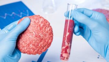 അമേരിക്കയിൽ കൃത്രിമ മാംസത്തിന്  കടുത്ത വിലക്ക്; ഏഴ് സംസ്ഥാനങ്ങളിൽ ഉത്പാദനവും വിതരണവും നിരോധിച്ചു