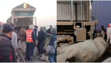 രാജധാനി എക്സ്പ്രസ് ആനക്കൂട്ടത്തിലിടിച്ചു, 7 ആനകൾ ചരിഞ്ഞു; 5 കോച്ചുകൾ പാളംതെറ്റി; അപകടത്തിൽ അന്വേഷണം പ്രഖ്യാപിച്ച് അസം സർക്കാരും റെയിൽവേയും