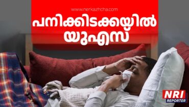 പനിച്ചൂടിൽ അമേരിക്ക; ഇൻഫ്ലുവൻസ ബാധിച്ചവർ 75 ലക്ഷം കടന്നു, 3100 മരണം