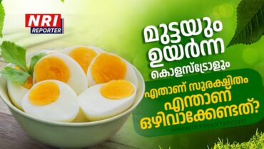 മുട്ടയും ഉയർന്ന കൊളസ്ട്രോളും: എതാണ് സുരക്ഷിതം, എന്താണ് ഒഴിവാക്കേണ്ടത്?