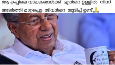 ‘ആ കപ്പിലെ വാചകങ്ങൾക്ക് എന്‍റെ ഉള്ളിൽ നിന്ന് അടർത്തിമാറ്റപ്പെട്ട ജീവന്‍റെ തുടിപ്പുണ്ട്’, മുഖ്യമന്ത്രിയുടെ ഐക്യദാർഢ്യത്തിൽ വൈകാരികമായ നന്ദിയുമായി അതിജീവിത