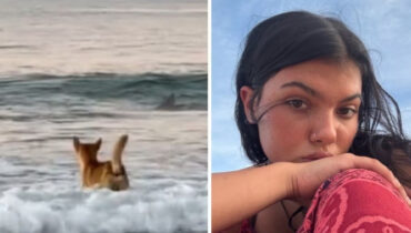 ഓസ്‌ട്രേലിയയിലെ ക്വീൻസ്‌ലൻഡ് തീരത്ത് പത്തൊൻപതുകാരിയായ കനേഡിയൻ വിനോദസഞ്ചാരി മരിച്ച നിലയിൽ ; മൃതദേഹത്തിനരുകിൽ കാട്ടുനായ്ക്കൾ