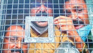 മുട്ടില്‍ മരംമുറി കേസ്:  ഒരു കീറക്കടലാസ് പോലും ഹാജരാക്കാൻ പ്രതികൾക്ക് കഴിഞ്ഞില്ലെന്ന്  കോടതി