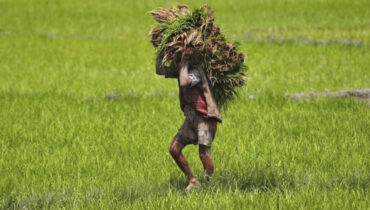 ഡീലുകൾ ധാരാളം; അവ ഇന്ത്യൻ കർഷകരുടെ നടു തകർക്കുമോ?