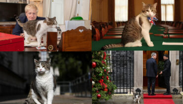 ഒന്നരപതിറ്റാണ്ടായി ബ്രിട്ടീഷ് രാഷ്ട്രീയത്തിലെ ജനപ്രിയ മുഖങ്ങളിലൊന്ന്, സോഷ്യൽ മീഡിയയിൽ 8 ലക്ഷത്തിലധികം ഫോളോവേഴ്സ്, ഇത് ഭരണകൂടത്തിൻ്റെ ഔദ്യോഗിക ‘എലിപിടുത്തക്കാരൻ’