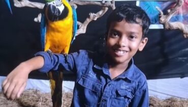 തലയണയ്ക്കടിയിലെ ശംഖുവരയൻ്റെ കടിയേറ്റ് എട്ടുവയസുകാരന്‍ മരിച്ചു; സഹോദരന്‍ ചികിത്സയില്‍