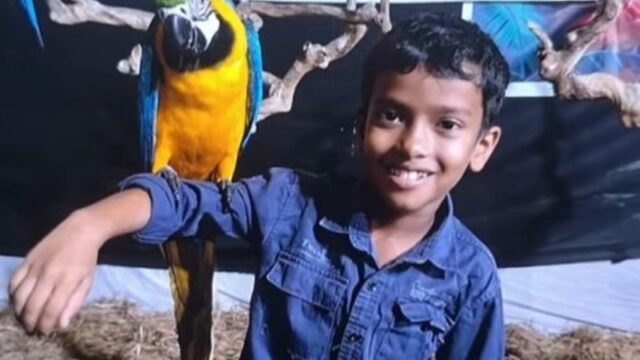 തലയണയ്ക്കടിയിലെ ശംഖുവരയൻ്റെ കടിയേറ്റ് എട്ടുവയസുകാരന്‍ മരിച്ചു; സഹോദരന്‍ ചികിത്സയില്‍