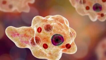 സംസ്ഥാനത്ത് വേനലിൽ അമീബിക് മസ്‌തിഷ്ക ജ്വരം വർധിക്കാൻ സാധ്യത; ജാഗ്രത നിർദേശം നൽകി ആരോഗ്യ വകുപ്പ്