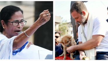 ‘രാഹുൽ പട്ടിക്ക് ബിസ്‌കറ്റ് നൽകി സമയം കളയുമ്പോൾ ഞങ്ങൾ കേന്ദ്ര ഏജൻസികളെ ധീരമായി നേരിടുകയായിരുന്നു’, ആഞ്ഞടിച്ച് തൃണമൂൽ; ബംഗാളിൽ വാക്പോര് രൂക്ഷം