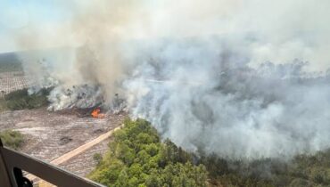 യുഎസിലെ തെക്കുകിഴക്കൻ ജോർജിയയിൽ കാട്ടുതീ;  80 ചതുരശ്ര കിലോമീറ്റർ ഭാഗത്ത് തീ പടർന്നു