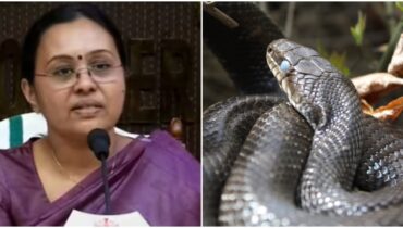 ആന്റി വെനം തേടി അലയേണ്ട, പാമ്പ് കടിയേറ്റാൽ ഉടൻ 108 ൽ വിളിച്ചാൽ മതി; പ്രഥമ ശ്രൂശൂഷയും നിരീക്ഷണവുമടക്കം ഉറപ്പാക്കിയെന്ന് ആരോഗ്യമന്ത്രി