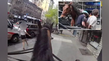 സൈറണില്ല, കാറില്ല; കുതിരപ്പുറത്ത് പാഞ്ഞെത്തി ‘കൗബോയ്’ പൊലീസ്, മാൻഹാട്ടനിൽ നാടകീയ രംഗങ്ങൾ, പോക്കറ്റടിക്കാരിയെ പിടികൂടിയ ദൃശ്യങ്ങൾ വൈറൽ !