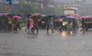 കനത്ത മഴ; ഒമ്പത് ജില്ലകളിലെ വിദ്യാഭ്യാസ സ്ഥാനങ്ങൾക്ക് നാളെ അവധി