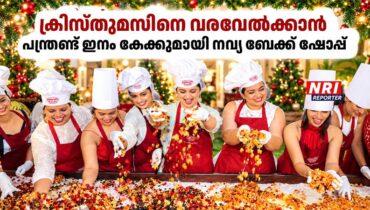 ക്രിസ്തുമസിനെ വരവേൽക്കാൻ പന്ത്രണ്ട് ഇനം കേക്കുമായി നവ്യ ബേക്ക് ഷോപ്പ്