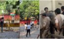 ജന്തർ മന്തർ പ്രതിഷേധം: ഒരാഴ്ചക്ക് ശേഷം സിജെപി നേതാക്കൾക്ക് ആശ്വാസം, സൗരവ് ദാസിനെയും അശുതോഷിനെയും കോടതി വിട്ടയച്ചു; ‘സത്യം വിജയിച്ചെന്ന് പ്രതികരണം’