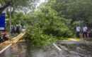 ആന്ധ്രയെ ഉലച്ച് അർണബ് ചുഴലിക്കാറ്റ്; മൂന്ന് മരണം, ഒഡീഷയിലും കനത്ത ജാഗ്രത, മുപ്പതിനായിരത്തിലേറെ പേരെ മാറ്റിപ്പാർപ്പിച്ചു